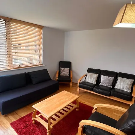 Comfortable 2-bed Near Croke Park 67 Appartement